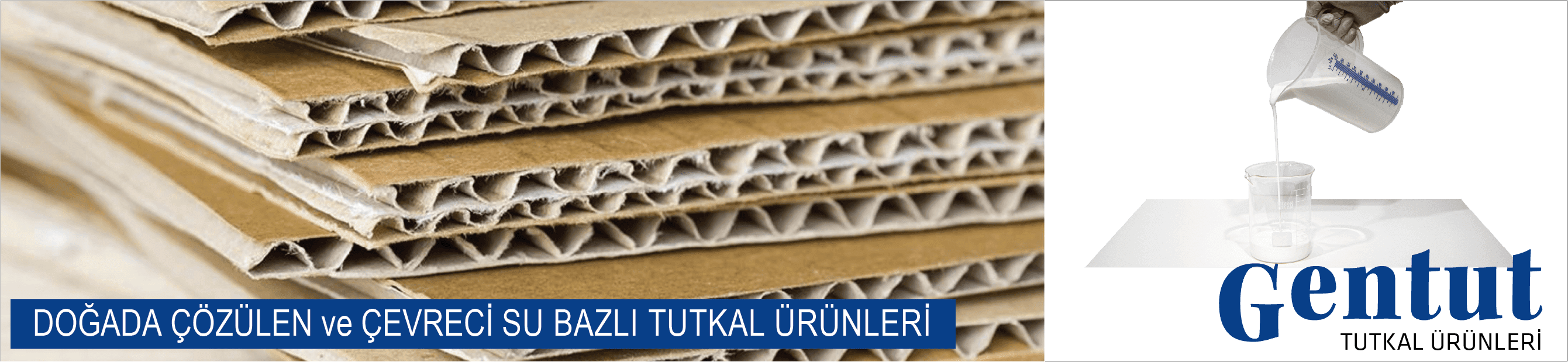 Gentut_01_Anaresim_turkce